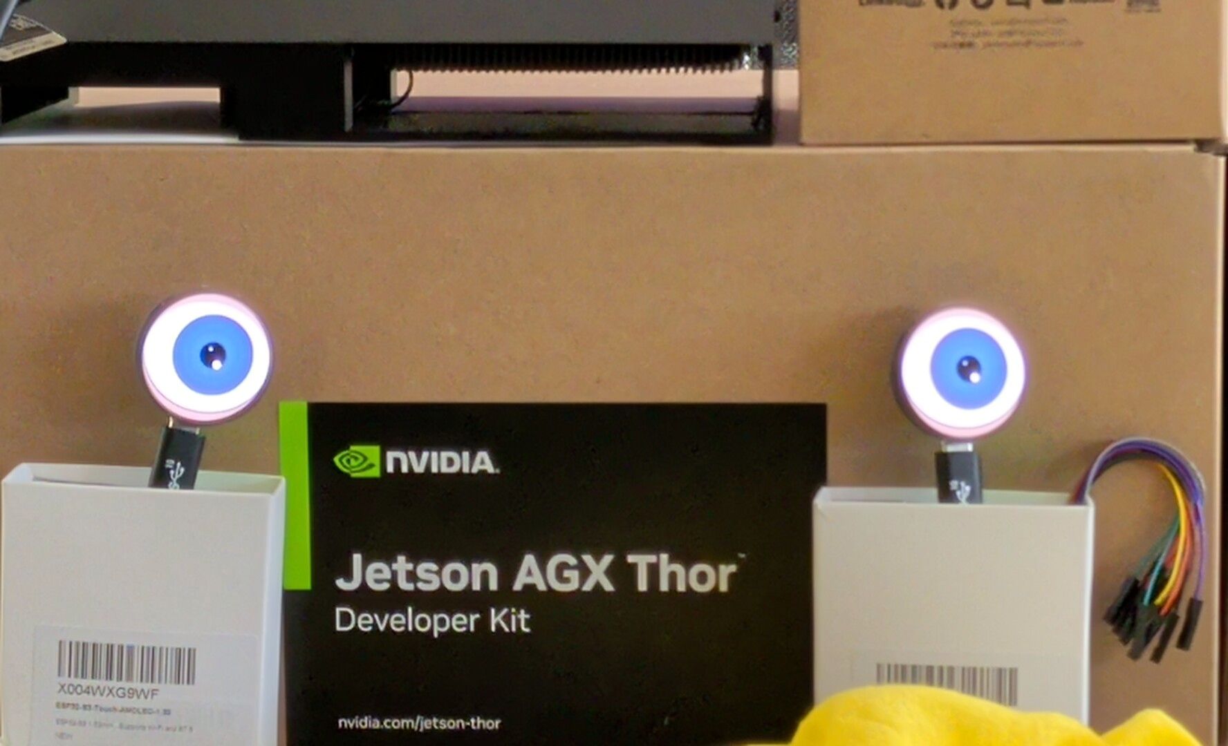 Angel's two round eye panels lit blue and synced, mounted on white boxes on either side of an NVIDIA Jetson AGX Thor Developer Kit box, with USB cables and a ribbon of jumper wires trailing off. The rig is still mostly cardboard.